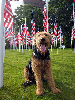 Happy Memorial Day from VoxOx