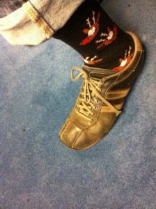 Vox Sox