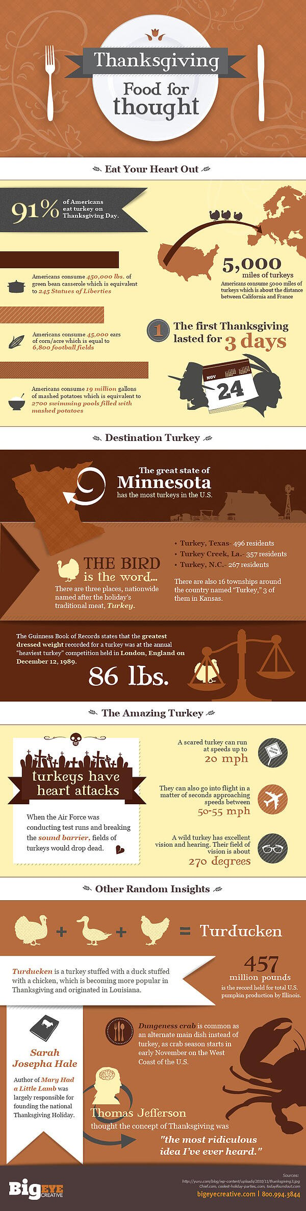 Thanksgiving Infographic