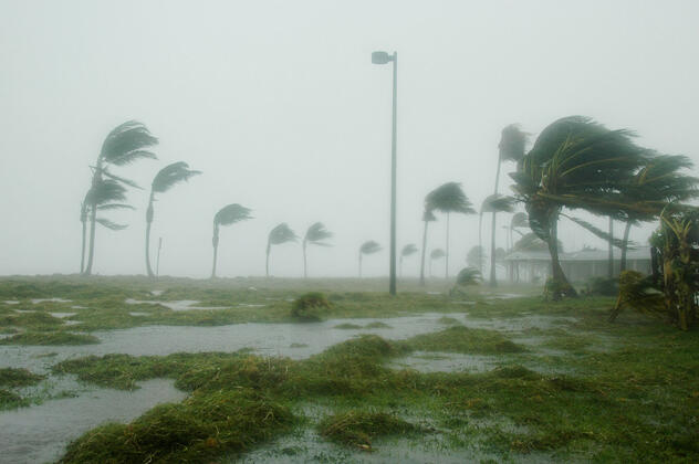 Hurricane Season